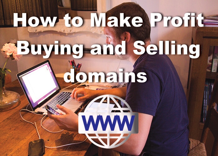 Online Domain flipping business